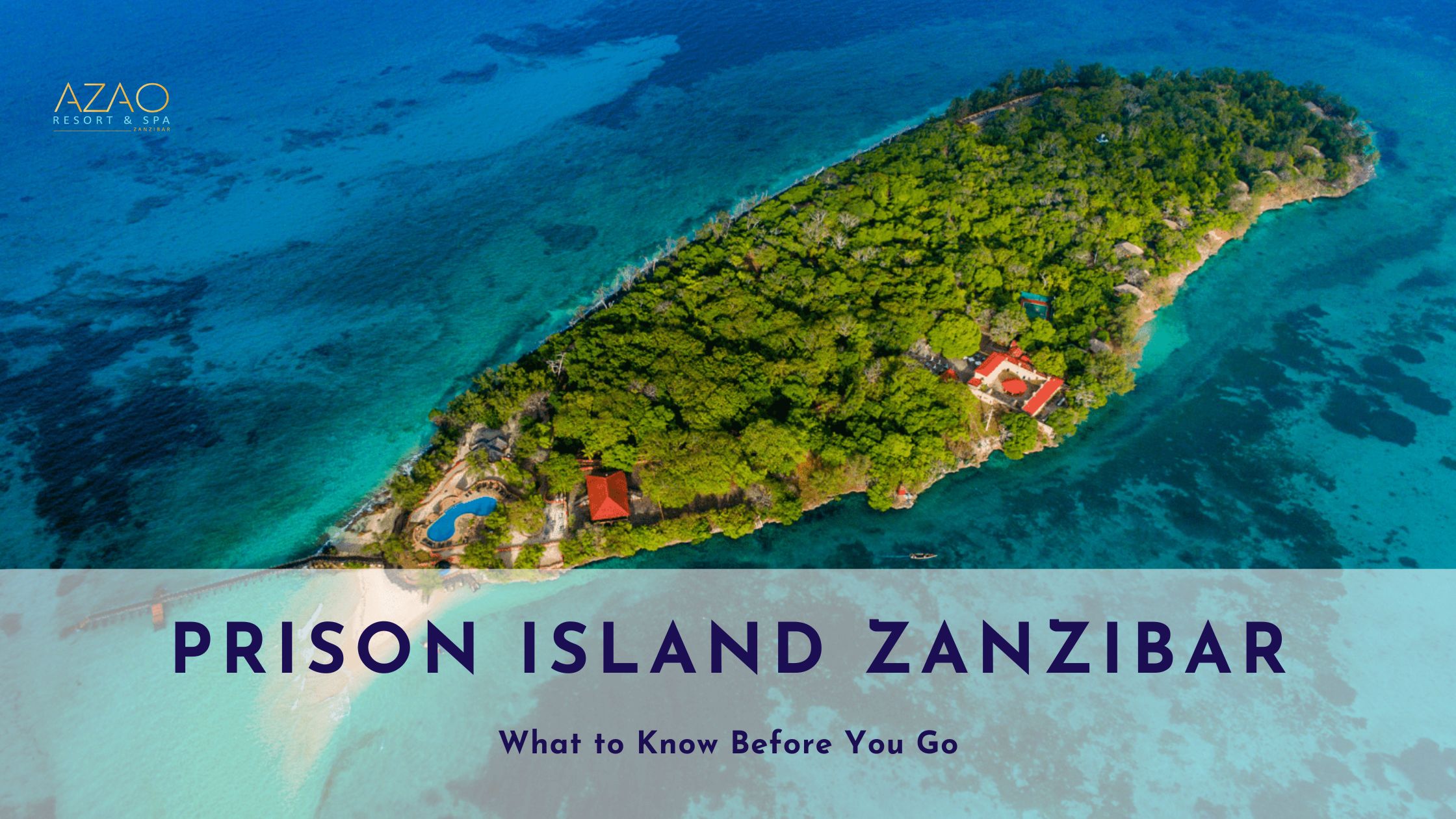 Prison Island Guide from Best Beach Resort Zanzibar