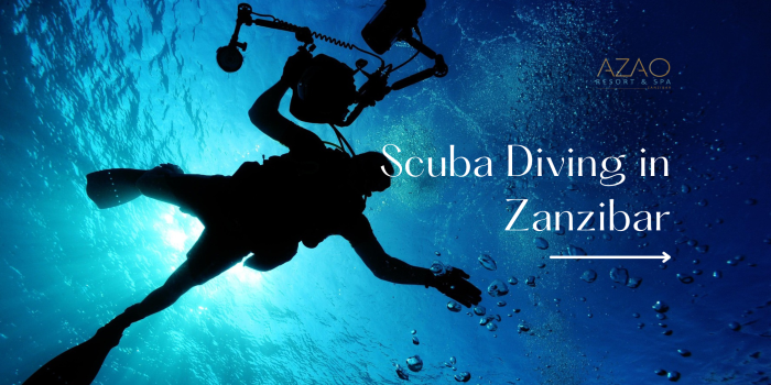 all inclusive hotel in Zanzibar