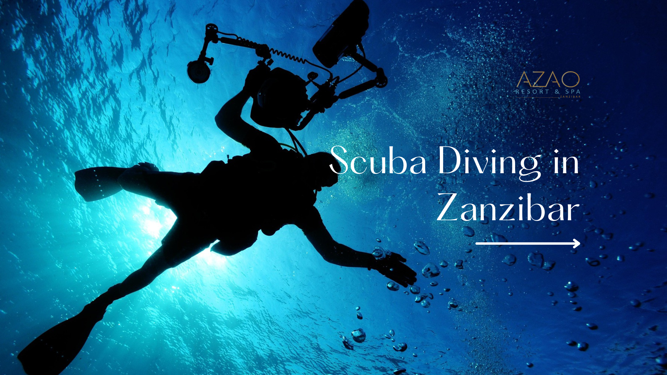 all inclusive hotel in Zanzibar