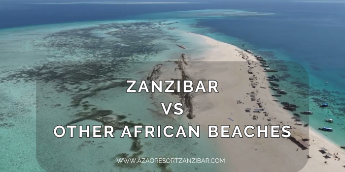 best luxury beach resort in Zanzibar